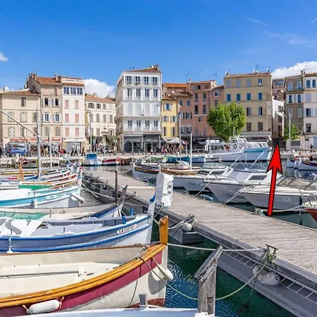 Magnifique Lavande Au Pied Du Port-vieux