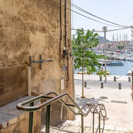 Magnifique Lavande Au Pied Du Port-vieux